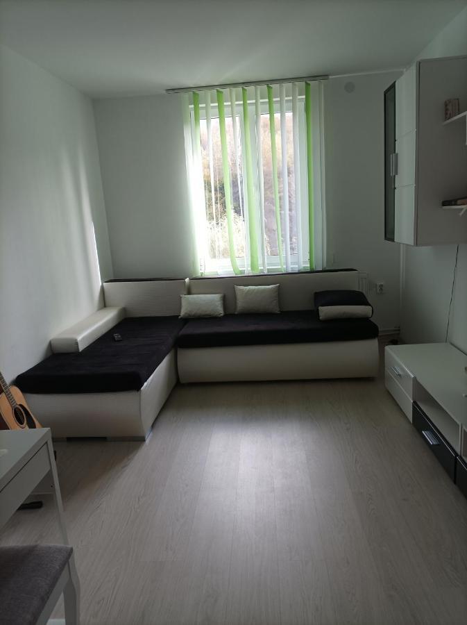 Apartament Doua Camere Uricani  Экстерьер фото
